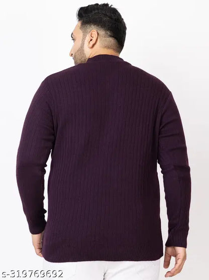 Kvetoo Plus Size Men High Neck Full Sleeve Zipper Sweater Color Purple